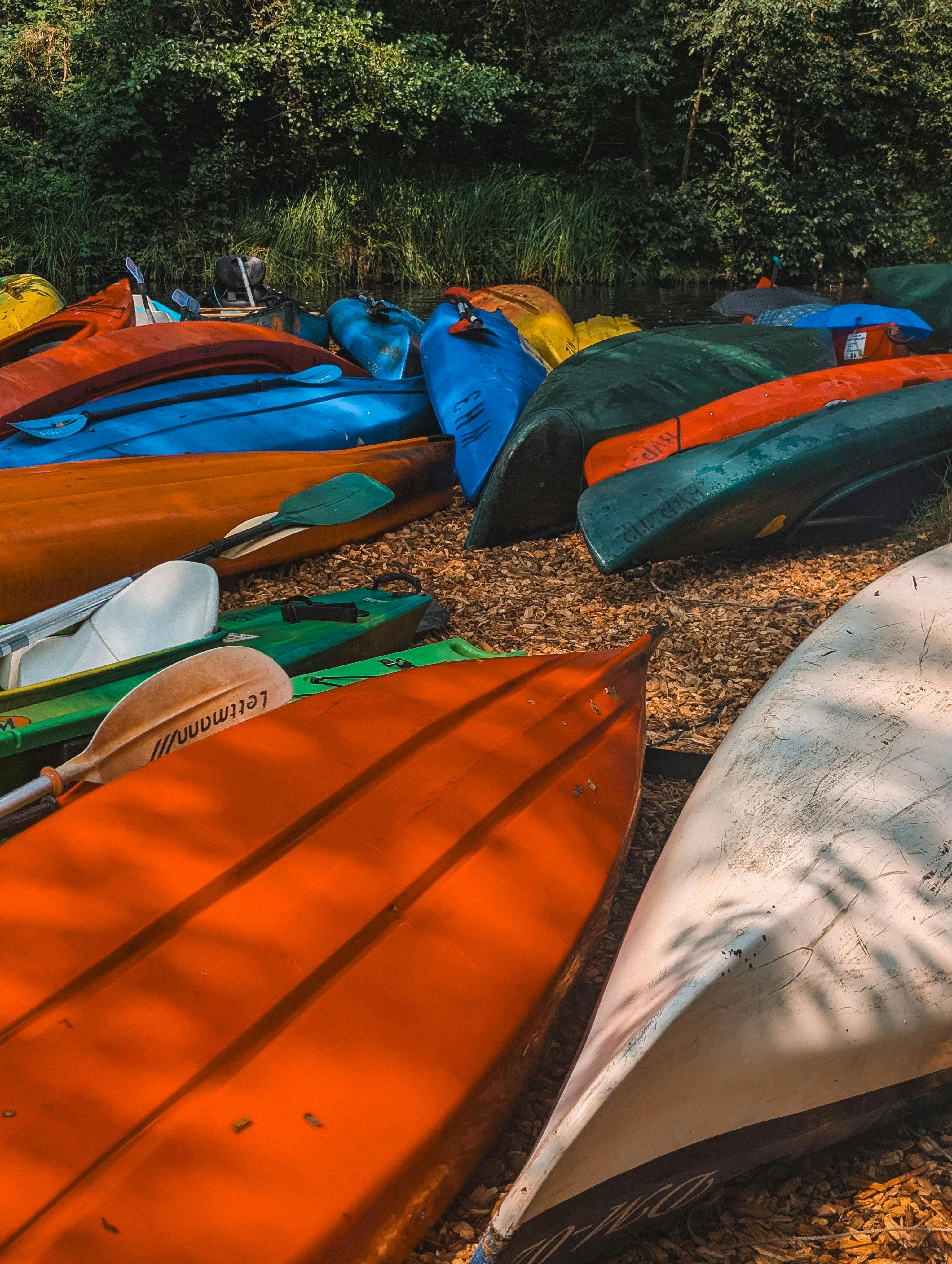 Abenteuer & Natur im Spreewald
